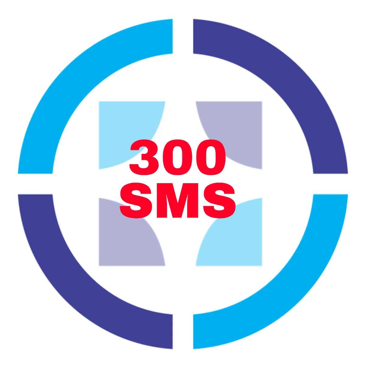 300 SMS Credits