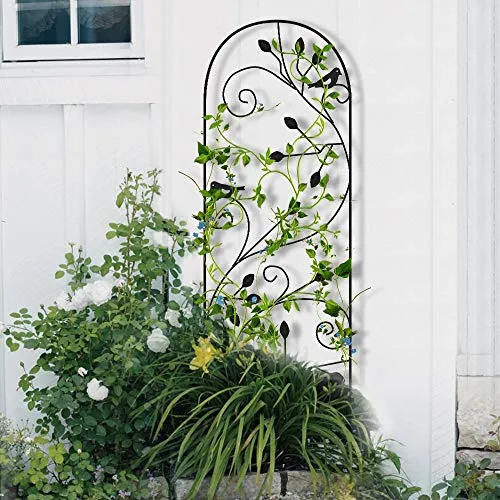 Amagabeli 4 Pack Garden Trellis for Climbing Plants 46" x 15"  Black Iron Plants Support Model No. ET027