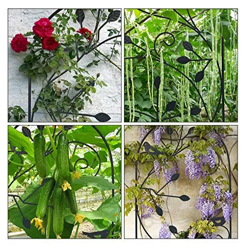 Amagabeli 4 Pack Garden Trellis for Climbing Plants 46" x 15"  Black Iron Plants Support Model No. ET027