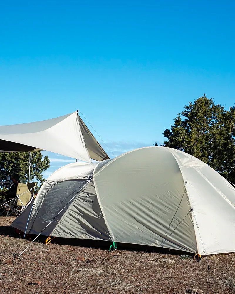 Amenity Dome Tent Medium
