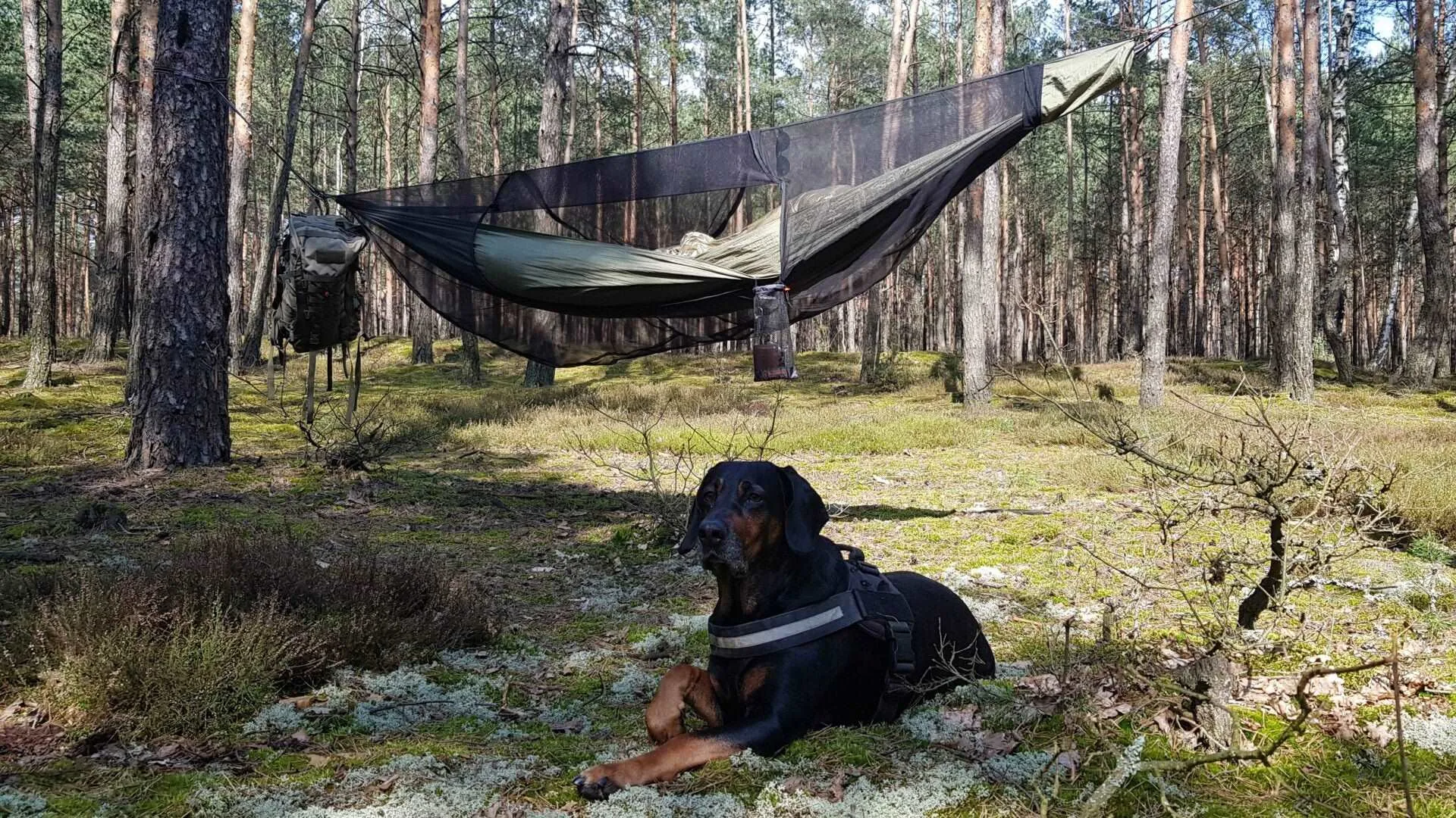 Bushmen Jungle Set (Ultralight Hammock   Insect Net) 650g