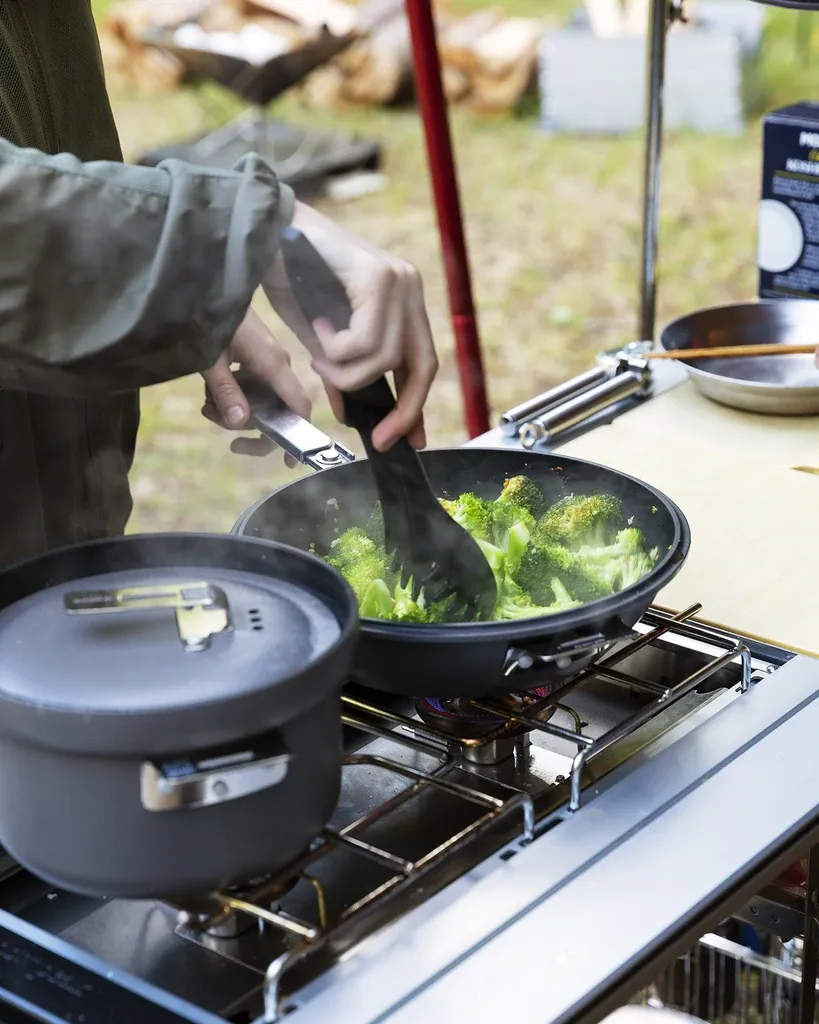 Double Burner LI Stove
