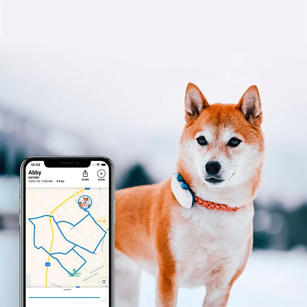 Tractive GPS Dog LTE - GPS Tracker til Hund - Hvid
