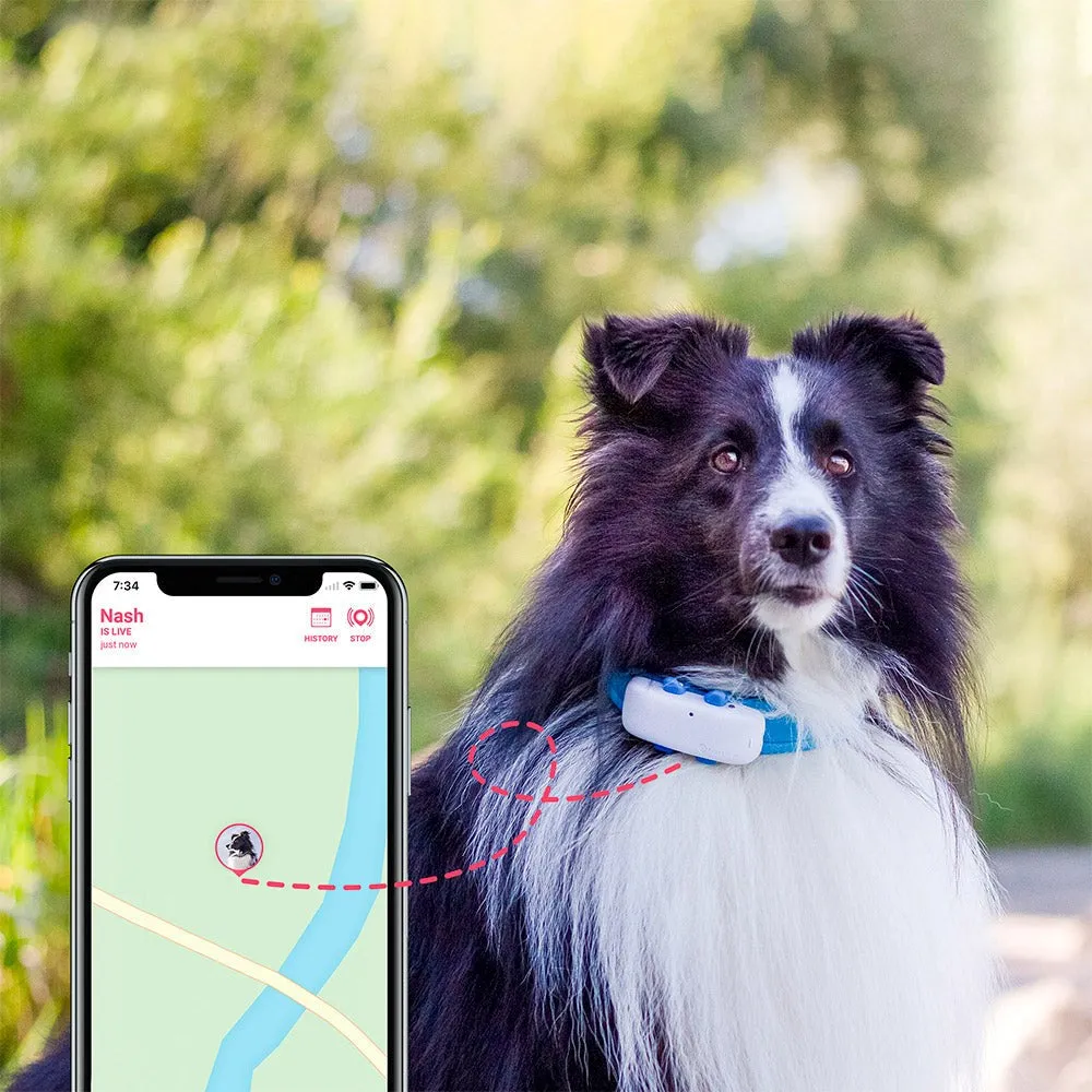 Tractive GPS Dog LTE - GPS Tracker til Hund - Hvid