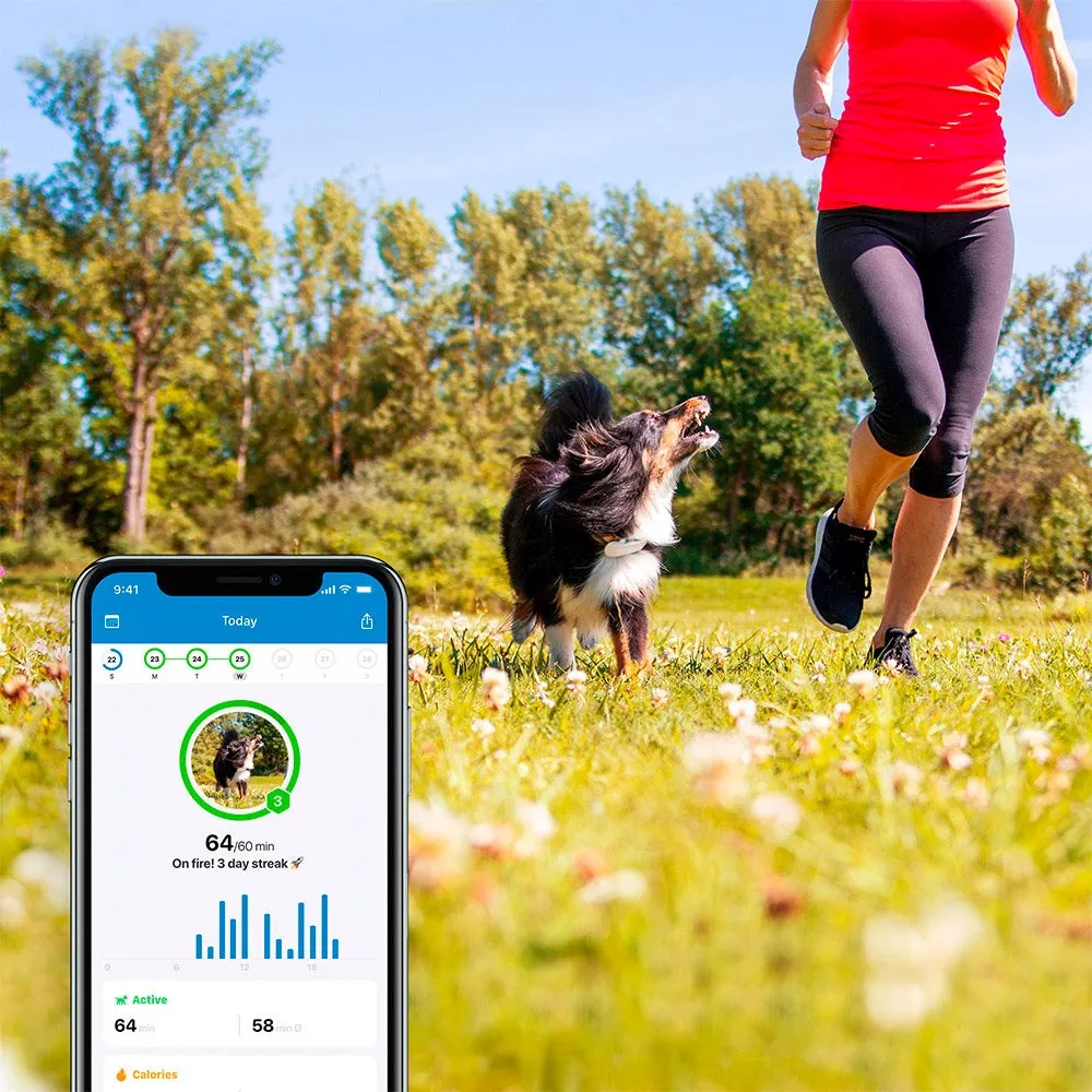 Tractive GPS Dog LTE - GPS Tracker til Hund - Hvid